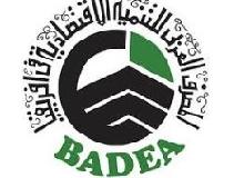 Badea